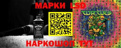 ПСИЛОЦИБИНОВЫЕ ГРИБЫ Среднеуральск