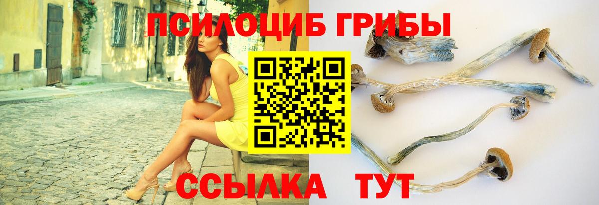 Богородск  Псилоцибиновые грибы Psilocybe  Вход с VPN 